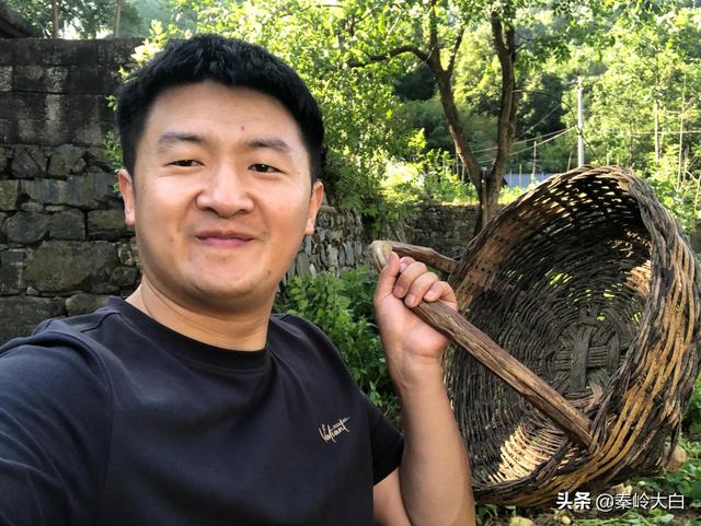 山芋什么时候传入中国（山芋何时传入我国）