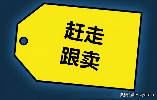 lazada跨境电商真的害苦我了（跨境电商真的害苦我了跨境电商shopee平台怎么样）