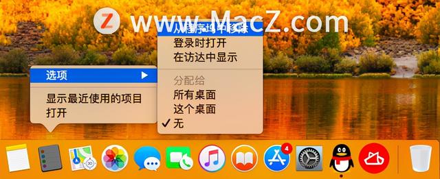 iwatch程序坞是什么意思（苹果程序坞是什么意思）