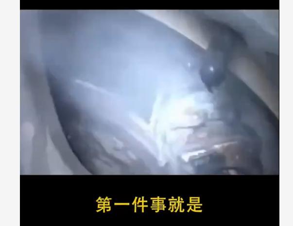 晚上开车小视频10秒在车内，夜间自己开车的视频？
