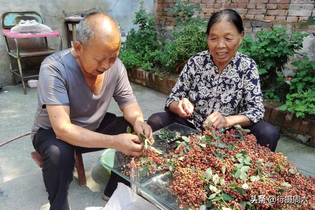养植什么动物最赚钱呢知乎，养植什么动物最赚钱呢图片？