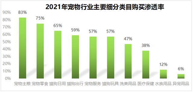 宠物店创业ppt模板免费，宠物店创业计划书市场营销计划？