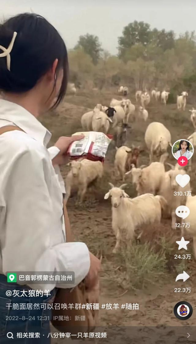 抖音涨粉个人简介，抖音容易涨粉的个人介绍？