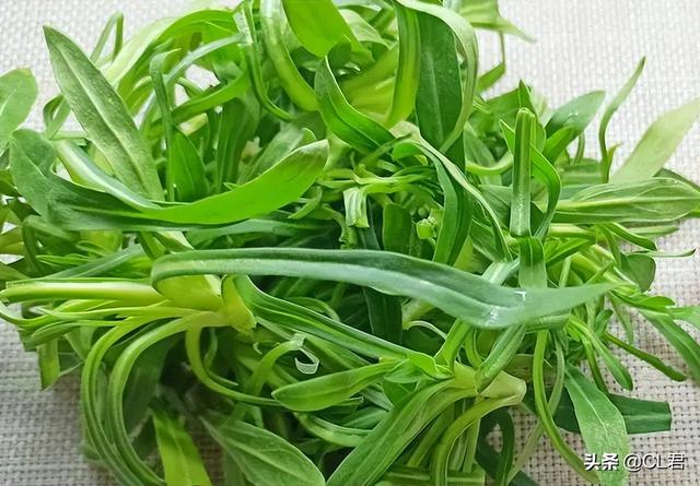 乡下种植什么最赚钱又省事，乡下种植什么最赚钱又省事儿？