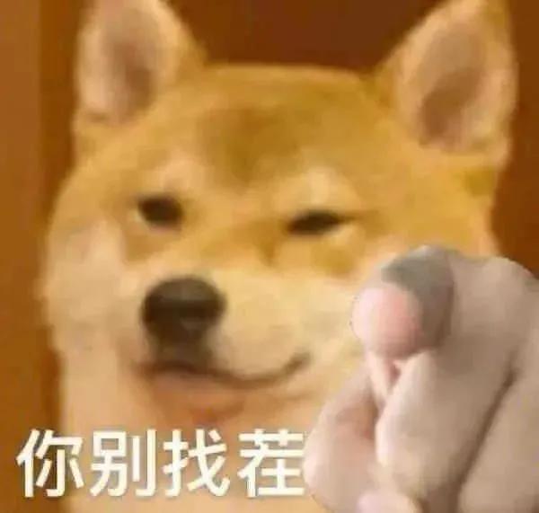 马嘉祺的粉丝叫什么，马嘉祺粉丝名,应援色和口号？