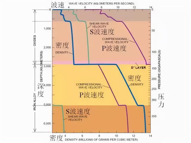 学校体检是做哪些项目，学校体检都做什么？