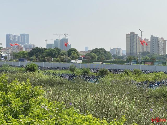 两轮电动车出租平台福州（两轮电动车出租平台有哪些）