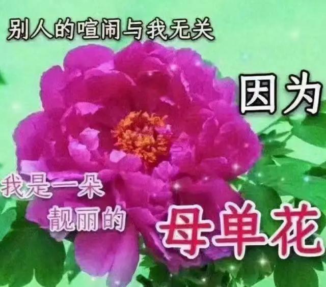 芭比Q网络用语（芭比q了网络用语）