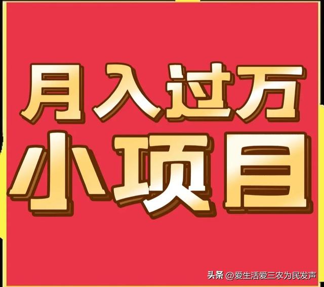 农业致富好项目，农村养殖致富？