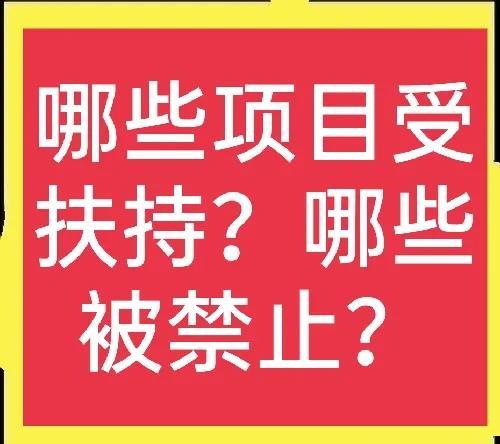 农村办厂政府扶持项目有哪些政策（农村办厂政府扶持项目有哪些补贴）