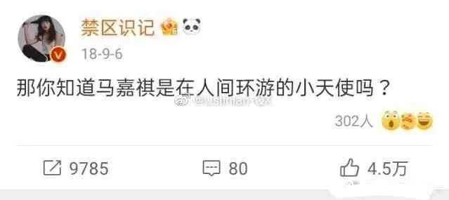 马嘉祺的粉丝叫什么，马嘉祺粉丝名,应援色和口号？