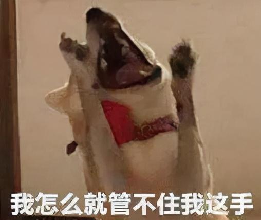 淘宝定金付了可以退全款吗（淘宝定金可以付全款然后退吗）