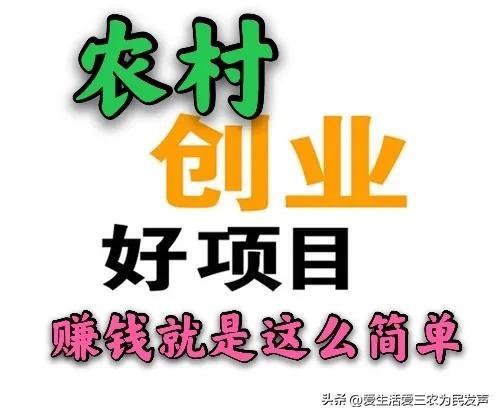 在农村乡镇做什么能赚到钱呢（农村乡镇干什么能赚钱）