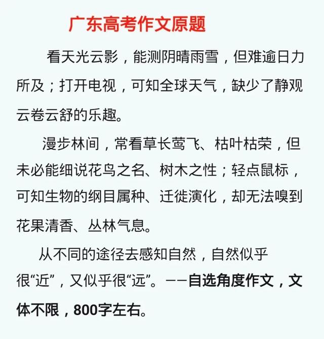 冷门又惊艳的作文开头结尾，冷门又惊艳的作文开头结尾中考