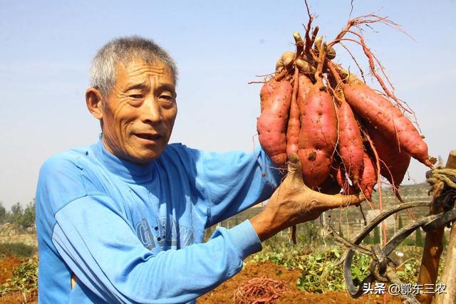 在家赚钱的十五种方法，在家赚钱的十种方法2016？