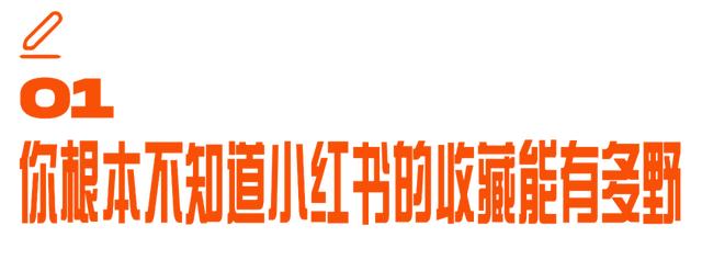 小红书的收藏怎么不被其他人看到呢呢（小红书的收藏怎么不被别人看到）