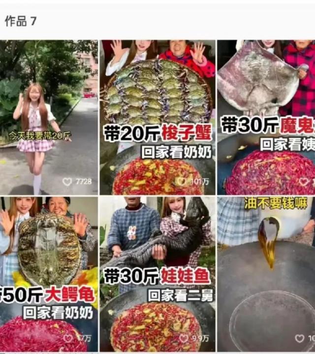 抖音网红莉哥怎么了到底，抖音女网红莉哥怎么了？