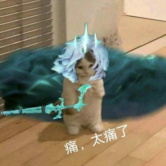 朋友圈怎么发歌曲链接和图片链接（朋友圈如何既发图片又发歌曲链接）