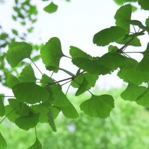 喝早茶发朋友圈的句子，早上喝早茶发朋友圈的句子？