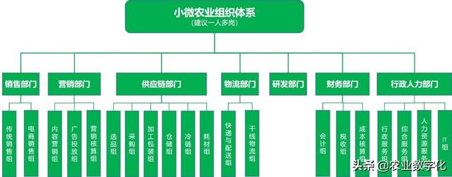 企业组织架构图模板怎么做（企业组织架构图模板word）
