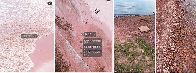 怎么能复制小红书的文案（苹果怎么复制小红书的文案）