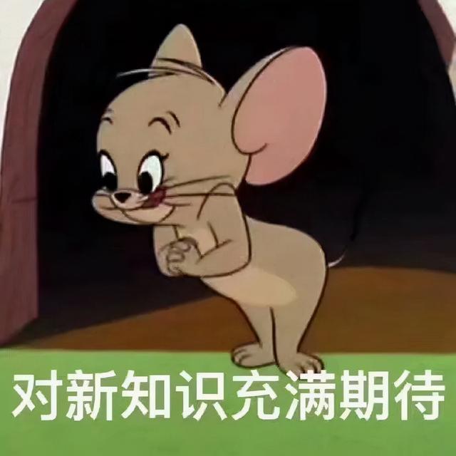 上海初中网课平台哪个好（高中上网课哪个平台比较好）