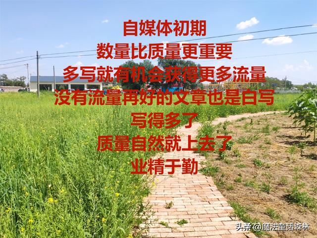 什么时间段发表的抖音浏览量高，抖音什么时候发浏览量多？