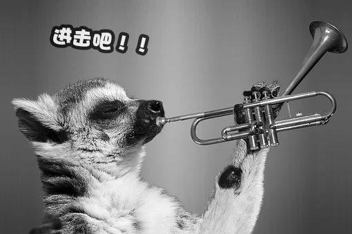 用QQ登录可以赚q币的软件下载（什么软件可以赚q币又可以用QQ登录的下载）
