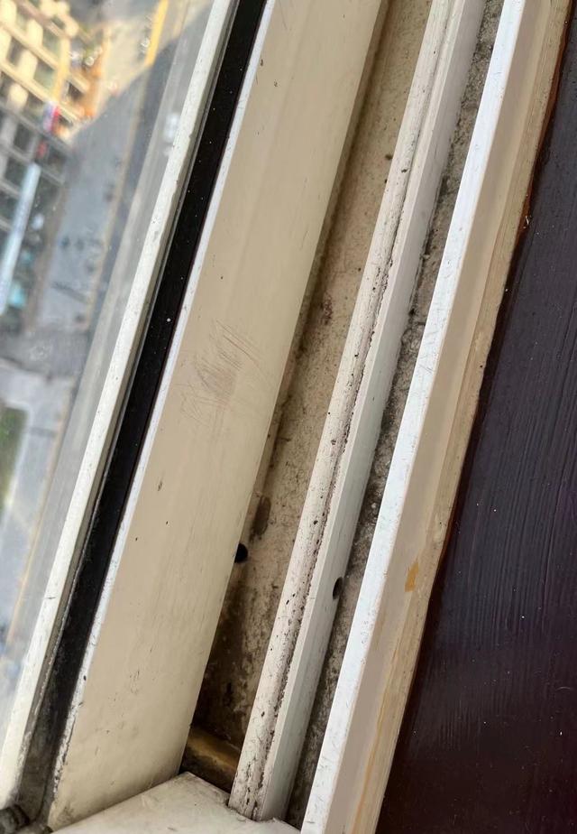 请保姆哪个平台比较好一点（请保姆哪个平台比较好找）
