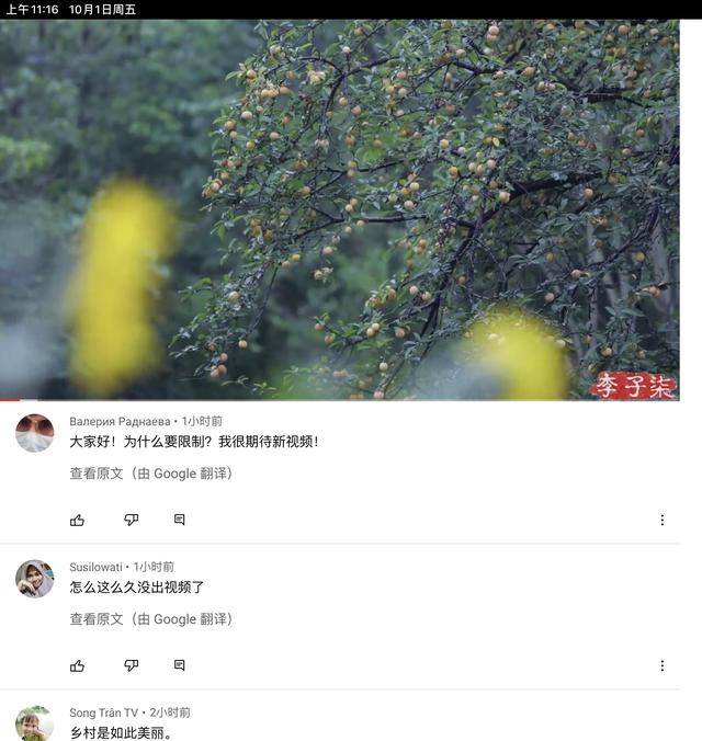 李子柒创业成功的个人因素，李子柒盈利模式分析？
