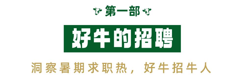 广告牛南通分公司孙杰，广告牛南通分公司员工