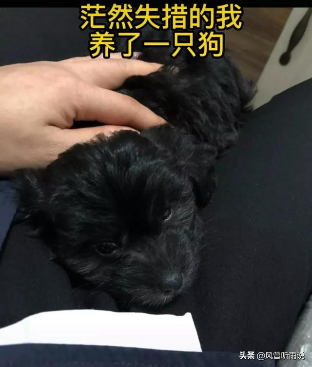 没钱走投无路怎样创业呢，没钱走投无路怎样创业呢知乎？