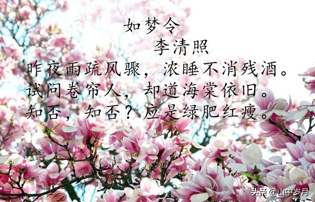 桃花的别称雅称有哪些（桃花的雅称是什么）