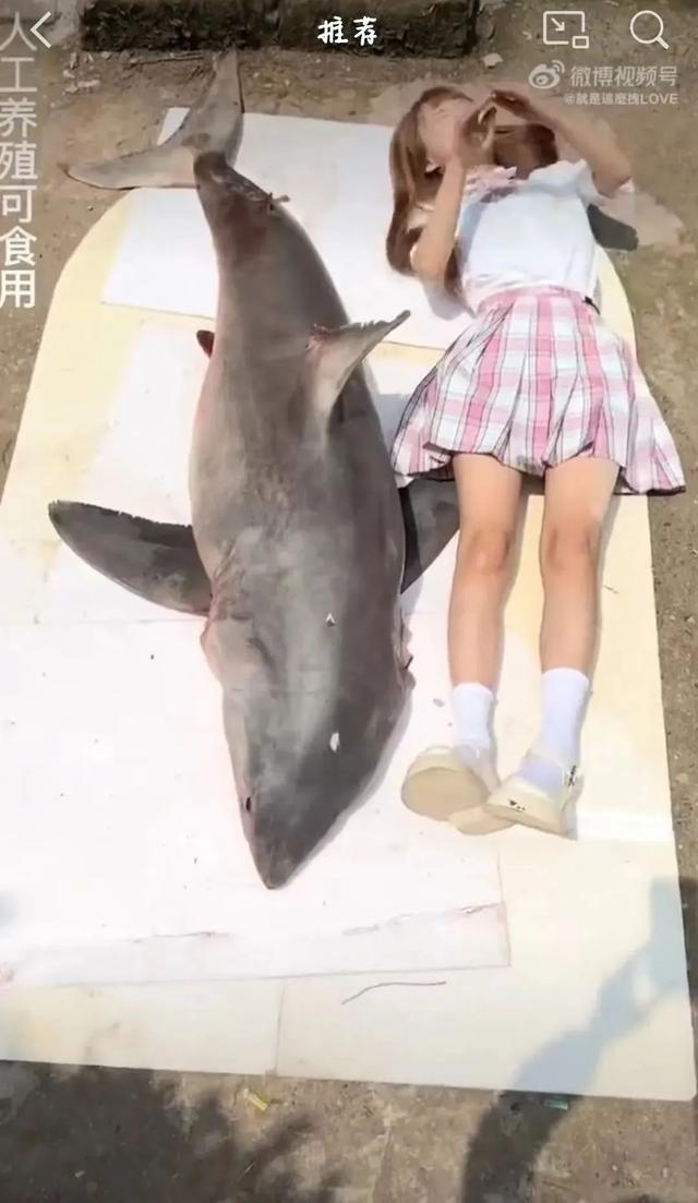 抖音网红莉哥怎么了到底，抖音女网红莉哥怎么了？