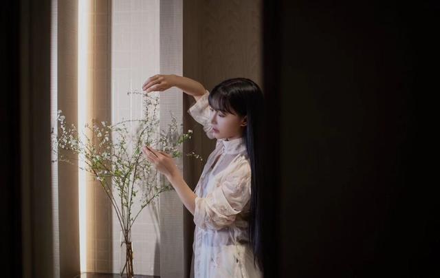 李子柒创业成功案例分析，李子柒创新创业项目案例分析
