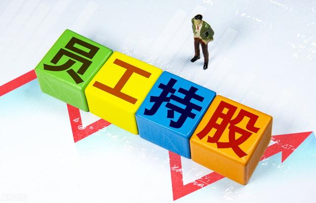 持股平台和员工直接持股的利弊（持股平台股权激励）
