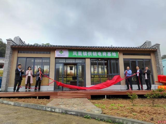 从电商运营培训班出来的工作都怎么样，网络上的电商培训平台真的吗？
