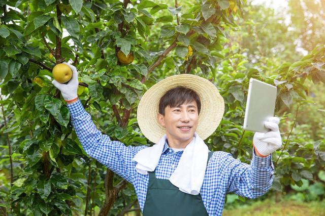 免费线上教学直播哪个平台好用点（免费线上教学直播哪个平台好用啊）