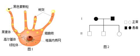 疯狂赏金赚钱app下载苹果手机（疯狂赏金赚钱app下载新量象）