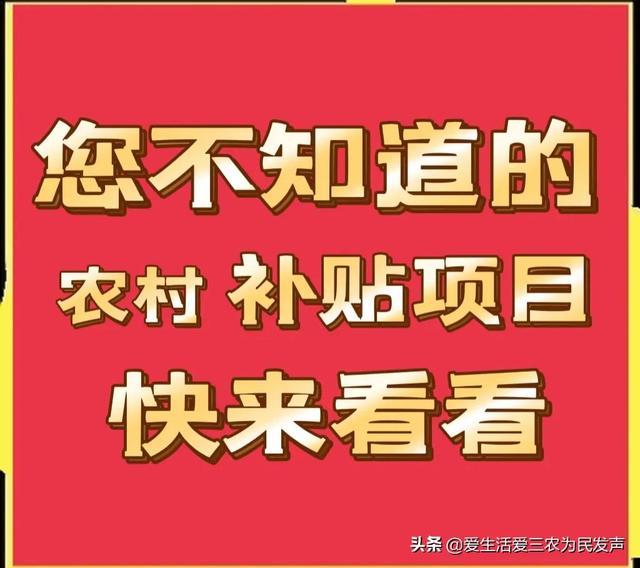 政府补贴项目查询2020，政府补贴项目查询2020情况？