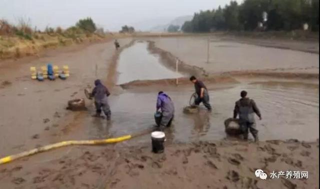 水产行业赚钱吗（水产生意利润怎么样）