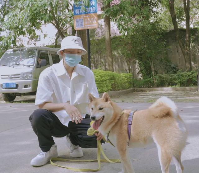 训犬师学校哪个比较好（训犬师培训学校排名）