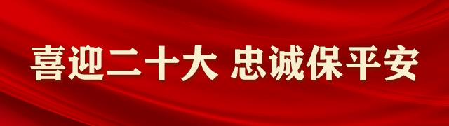 中央电视台平安行2021直播回放，中央电视台平安行2021直播回放视频？