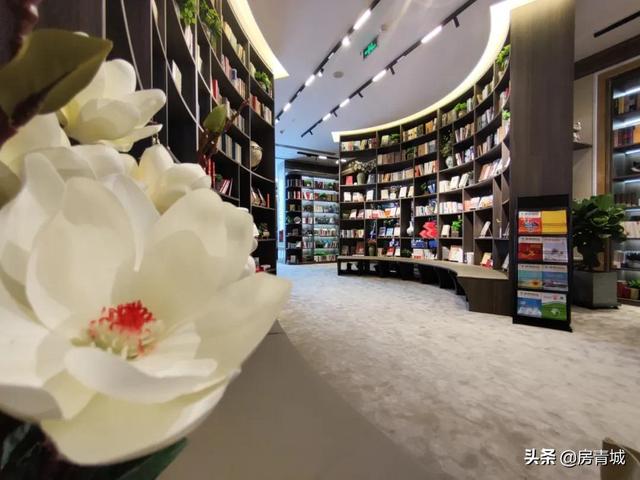粉丝经济是什么时候出现的，粉丝经济的现状与趋势？