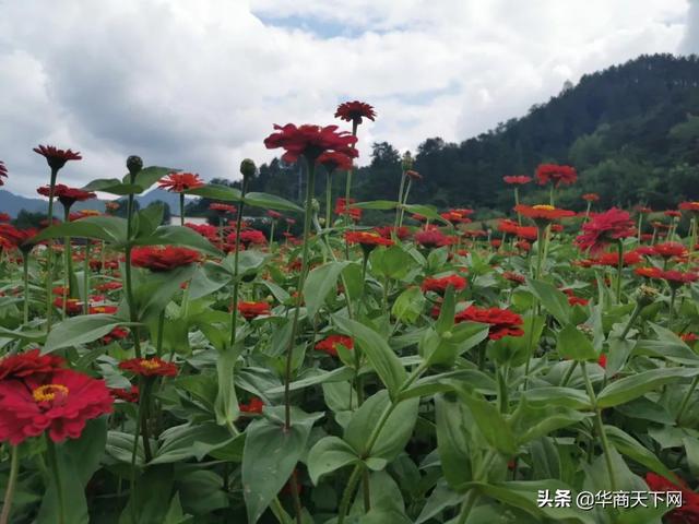 家人病逝不宜发朋友圈,如果已经发了怎么办，家里人病逝怎么发朋友圈？