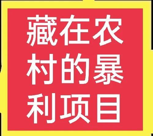 农村致富网养殖业，农村致富网小投资项目2020？