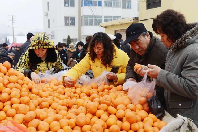 做生意一年挣100万，一年挣100万的生意？