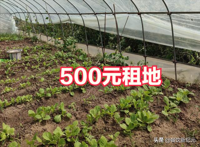 000万怎么创业，500块钱能创业吗？"
