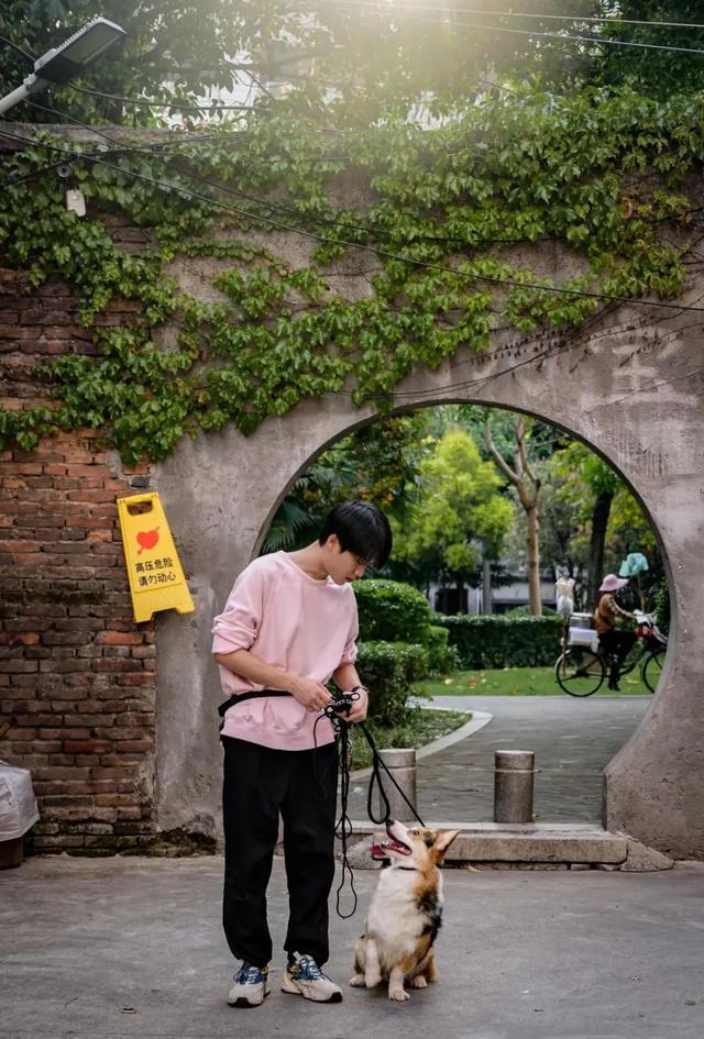 训犬师学校哪个比较好（训犬师培训学校排名）