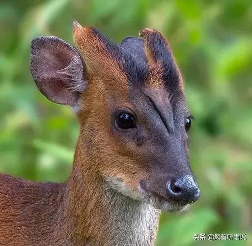 没钱走投无路怎样创业呢，没钱走投无路怎样创业呢知乎？